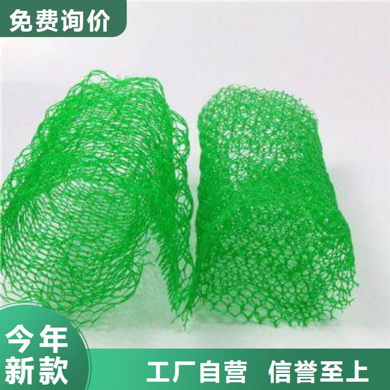 三维复合植被网厂家直供当地服务商