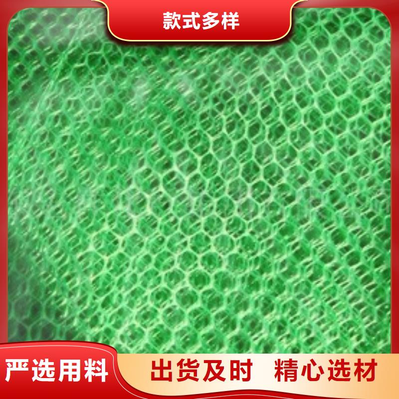 三维植被网双向塑料土工格栅规格型号全价格低
