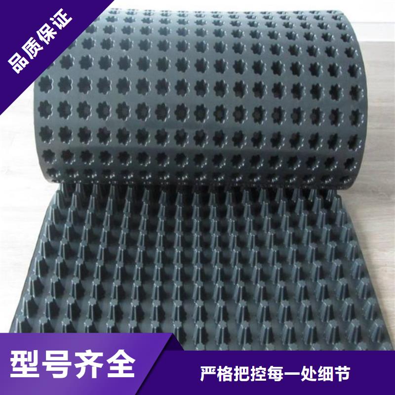 塑料排水板土工布經(jīng)驗(yàn)豐富質(zhì)量放心品質(zhì)有保障