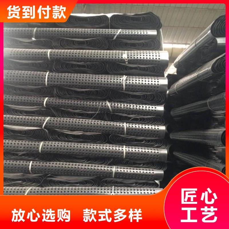 塑料排水板_【三维土工网垫】生产经验丰富多种款式可随心选择