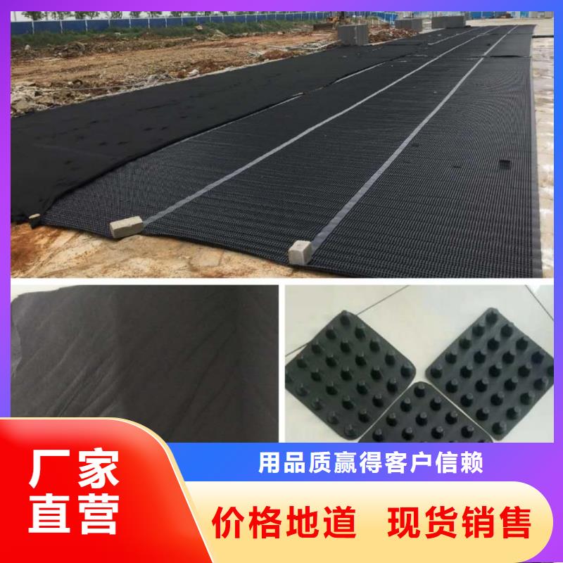 塑料排水板【三維土工網(wǎng)墊】安心購本地公司