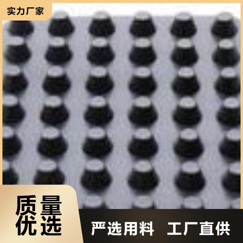 塑料排水板膨潤土防水毯高質量高信譽本地制造商