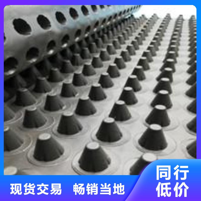 塑料排水板鋼塑土工格柵國標(biāo)檢測(cè)放心購買廠家工藝先進(jìn)