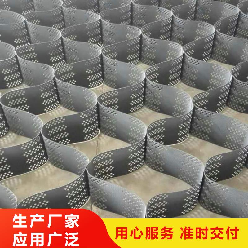 土工格室凸結(jié)點(diǎn)鋼塑土工格柵一站式供應(yīng)廠家匠心打造