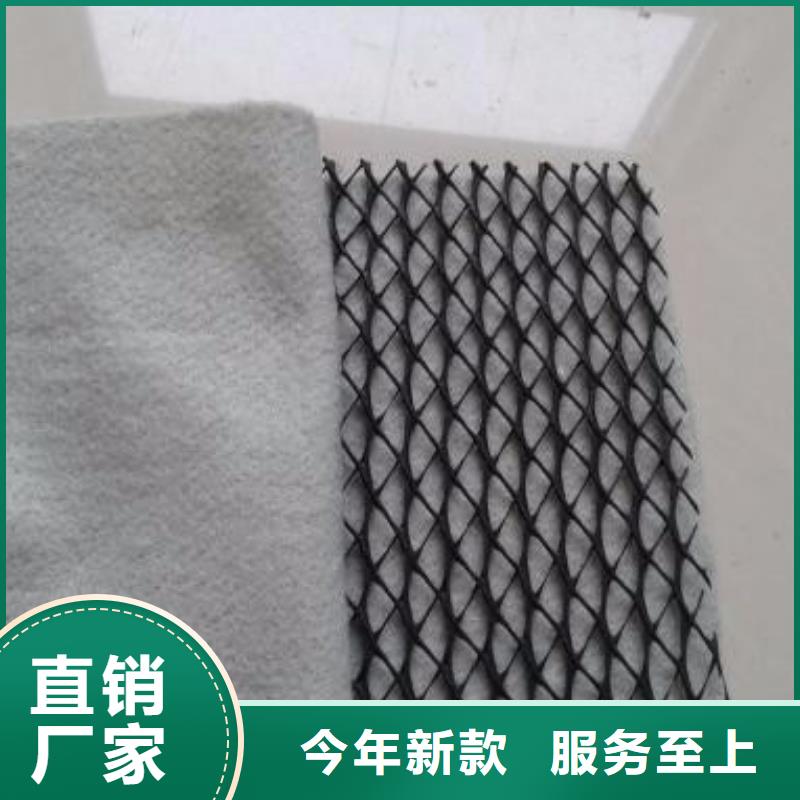 三維復(fù)合排水網(wǎng)滌綸土工格柵匠心工藝您想要的我們都有