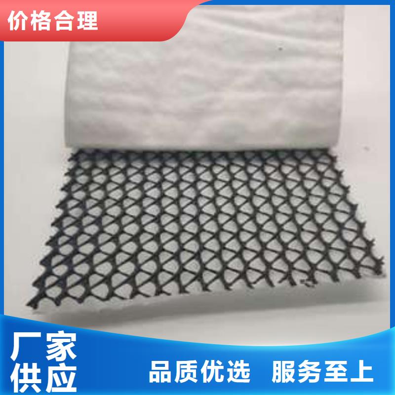 三維復(fù)合排水網(wǎng),塑料土工格柵免費寄樣來圖加工定制