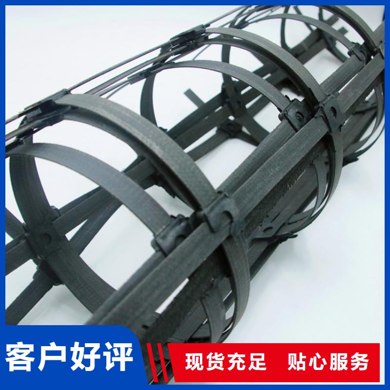 鋼塑土工格柵鋼塑土工格柵支持貨到付清當(dāng)?shù)貜S家
