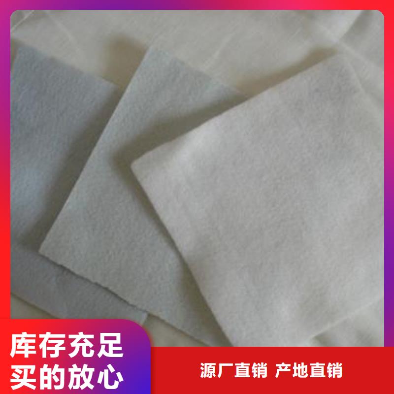 【土工布双向塑料土工格栅加工定制】工厂自营