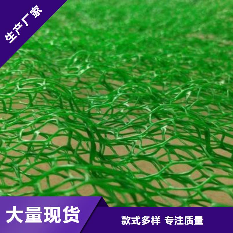 三維植被網(wǎng)【護(hù)坡土工網(wǎng)】源頭工廠專注品質(zhì)