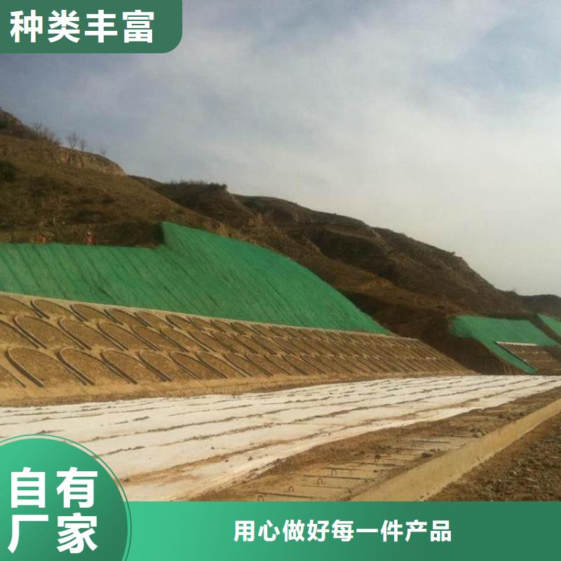 三维植被网_钢塑土工格栅服务周到追求细节品质