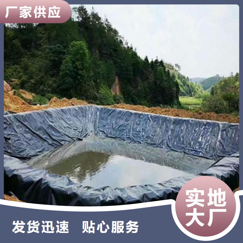 土工膜pp焊接土工格栅按需设计支持定制贴心售后