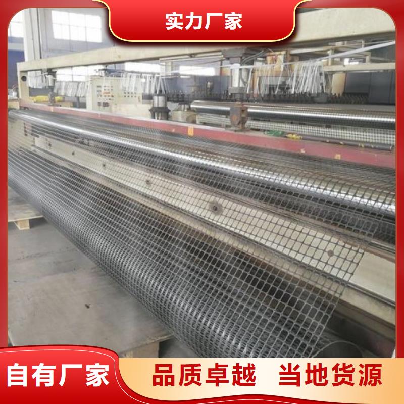 钢塑土工格栅_专业土工格栅服务商加工定制