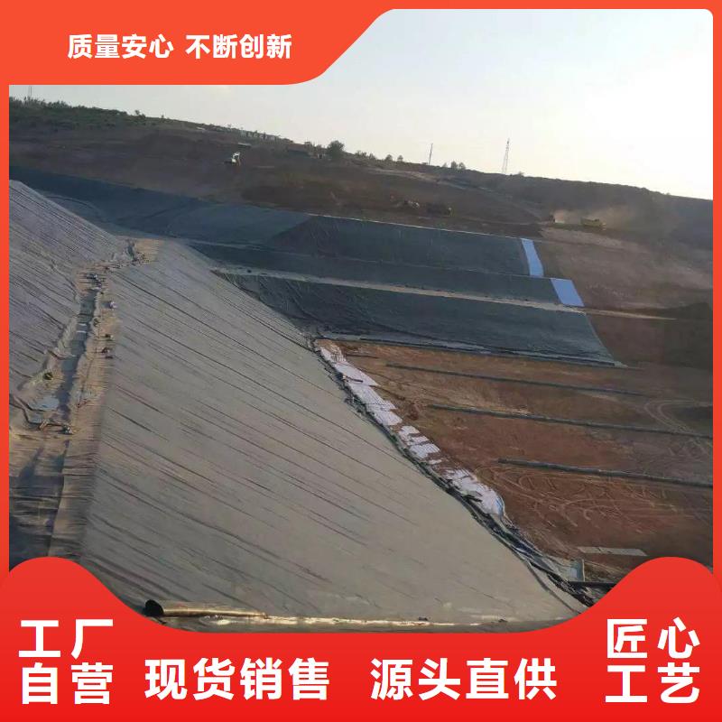 電廠調(diào)節(jié)池用土工膜廠家當(dāng)?shù)厣a(chǎn)商