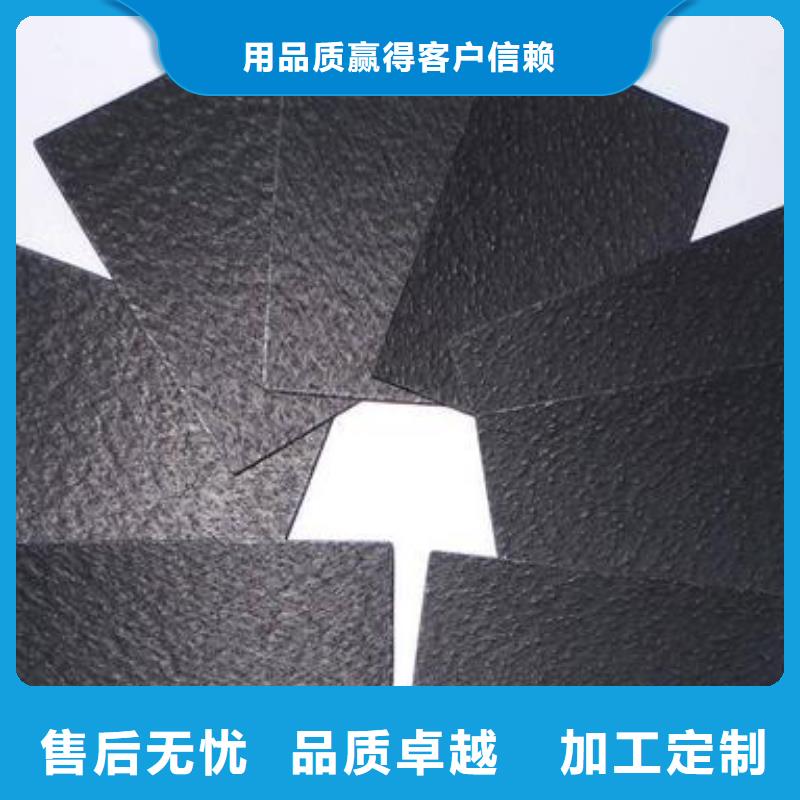 生活垃圾填埋场用土工膜专业生产设备