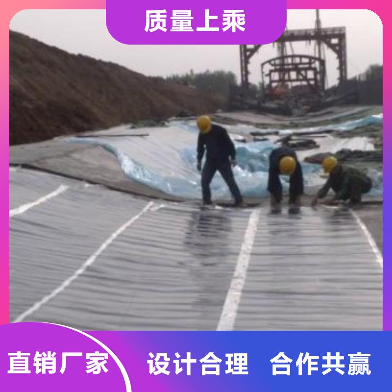儲油罐用防滲土工膜廠家當(dāng)?shù)厣a(chǎn)商