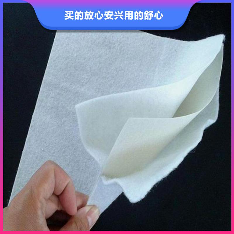 廠家直供水產(chǎn)養(yǎng)殖土工膜-水庫湖泊防滲膜源廠直接供貨
