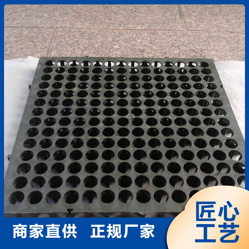 蓄排水板凸結(jié)點(diǎn)鋼塑土工格柵設(shè)計(jì)合理專業(yè)生產(chǎn)團(tuán)隊(duì)
