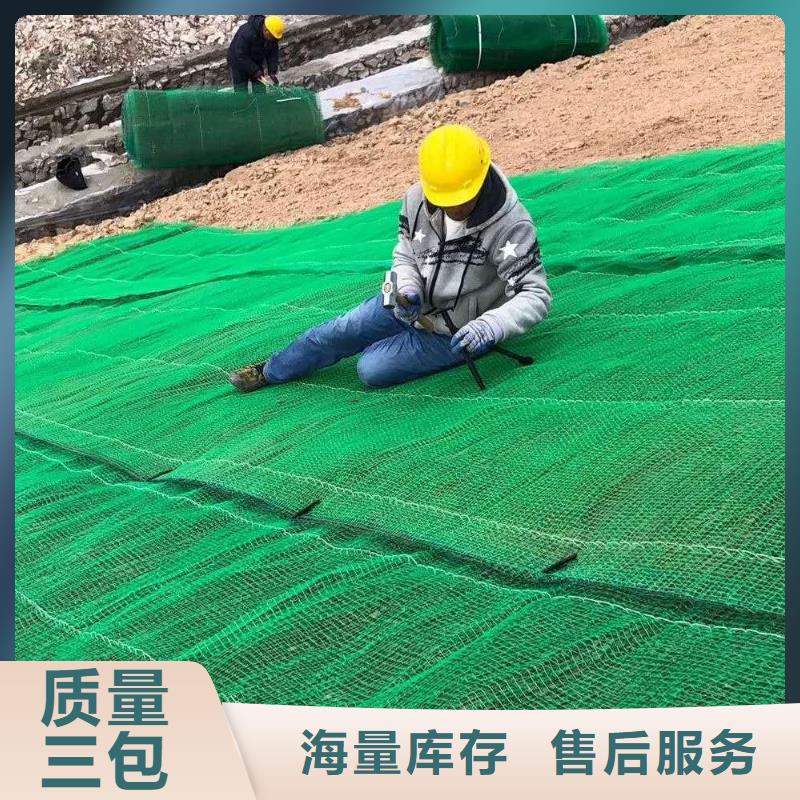 綠色三維網(wǎng)生產(chǎn)三維植被網(wǎng)生產(chǎn)同城供應(yīng)商