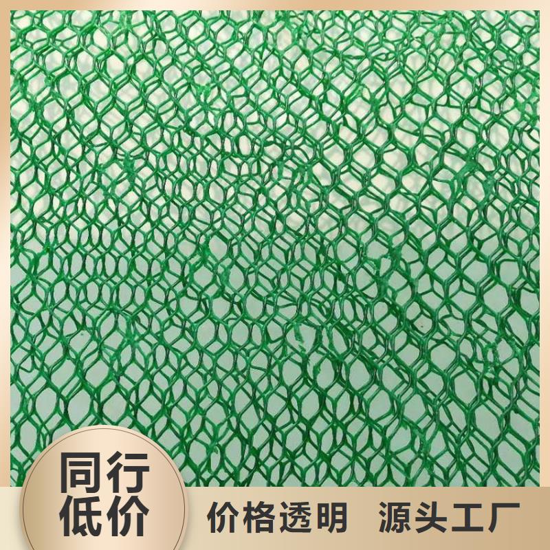 三維植被網(wǎng)海量庫存現(xiàn)貨供應(yīng)