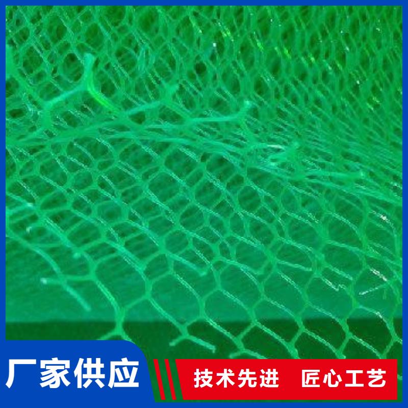 三維植被網(wǎng)防止水土流失專業(yè)生產(chǎn)團(tuán)隊(duì)