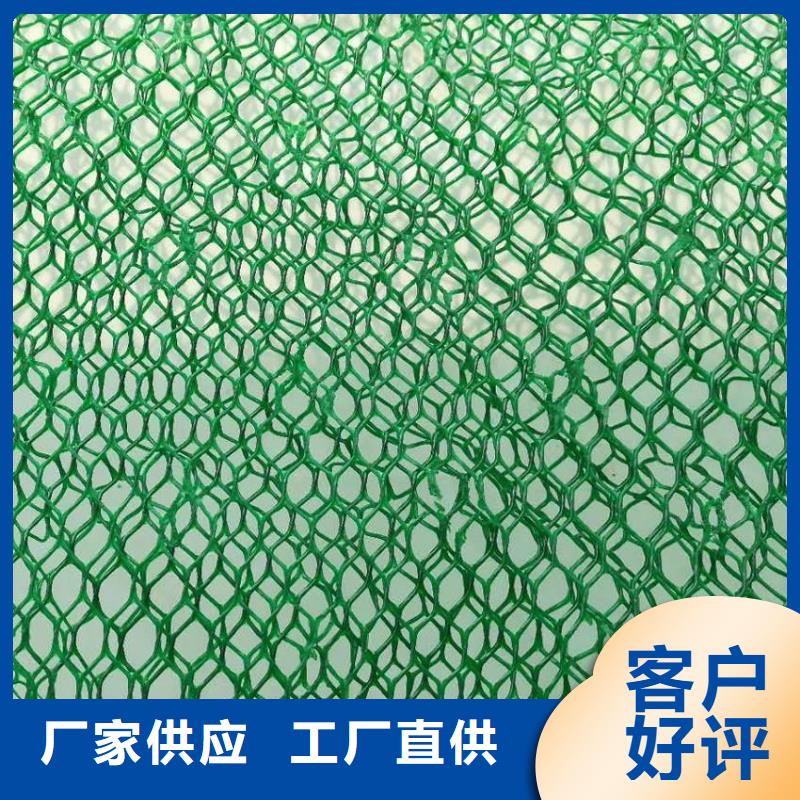 厚度16mm三維植被網(wǎng)植草護坡網(wǎng)品質(zhì)保證實力見證