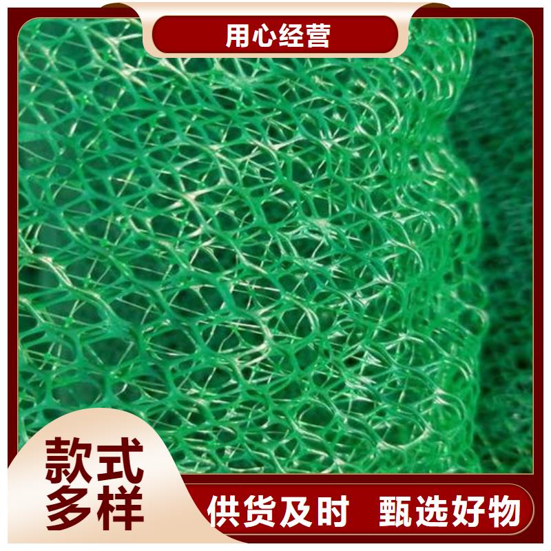 EM4三維土工網(wǎng)墊廠家廠家