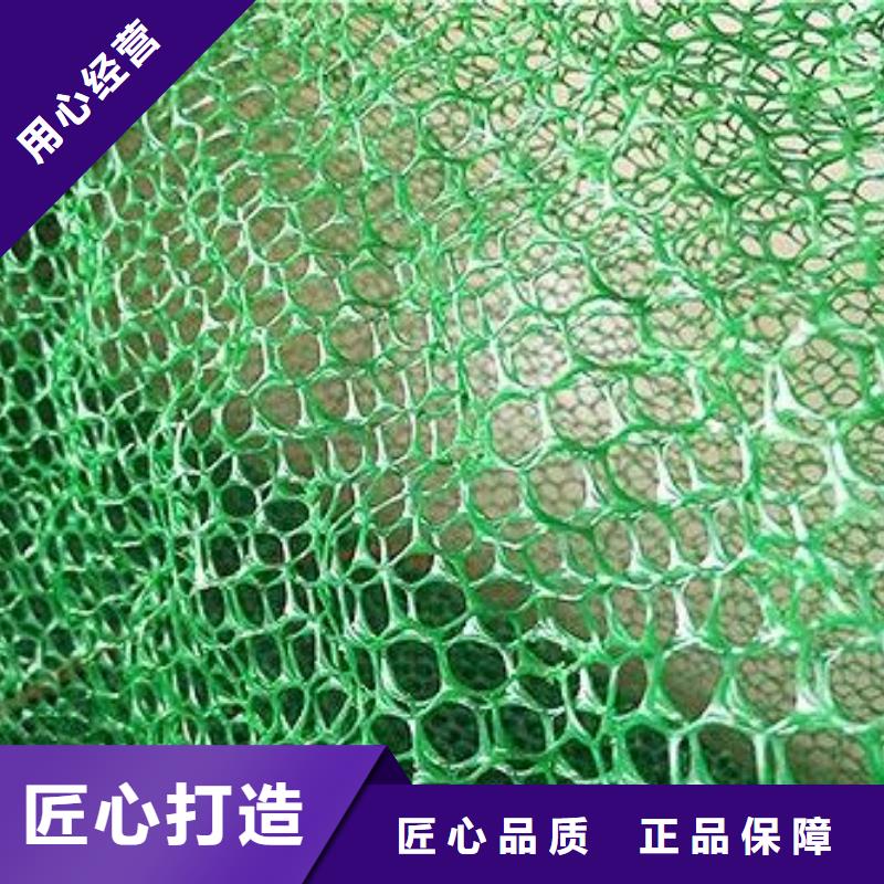 三维植被网价格-三维土工网垫生产厂家同城服务商