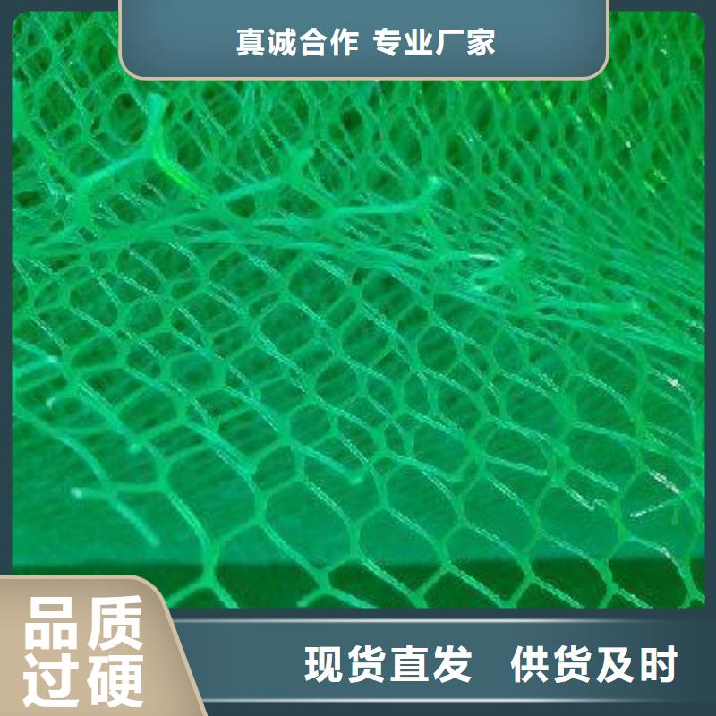 三維植被網(wǎng)植草護坡本地制造商