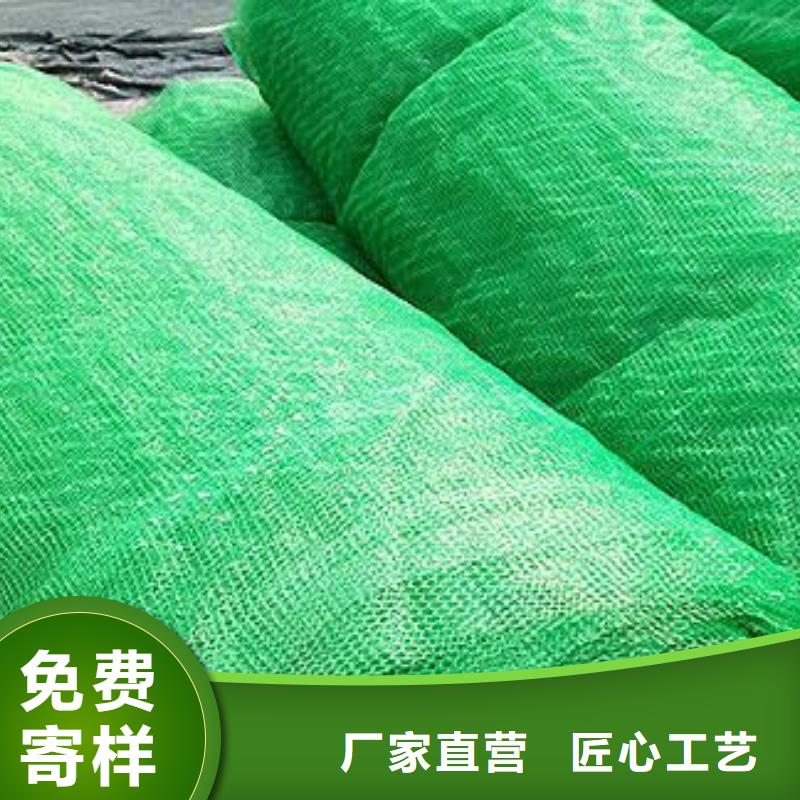 三維植被網(wǎng)植草護坡防紫外線當(dāng)?shù)貜S家