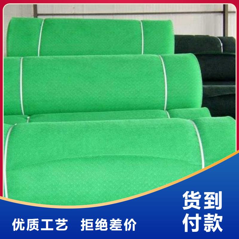護(hù)坡三維植被網(wǎng)EM3可降解土工網(wǎng)墊助您降低采購(gòu)成本