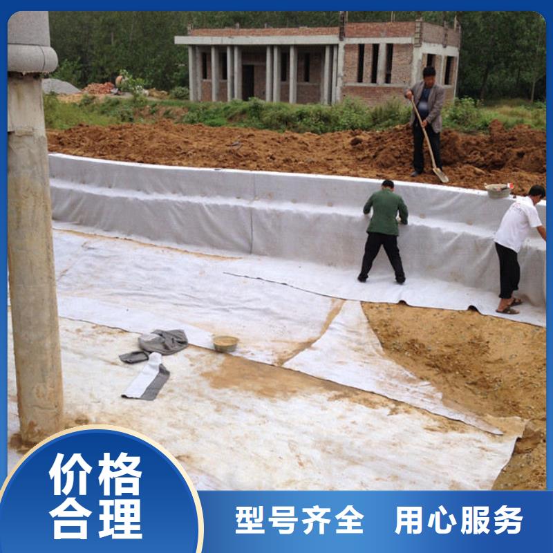 【膨潤(rùn)土防水毯】滌綸土工格柵廠家直銷直供價(jià)格有優(yōu)勢(shì)