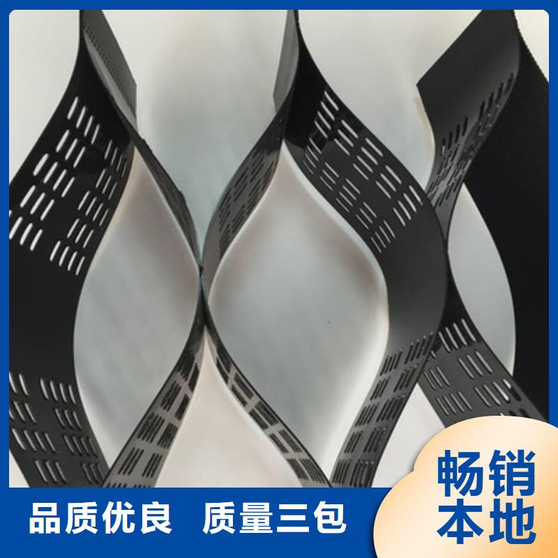 土工格室钢塑土工格栅定制销售售后为一体好品质售后无忧