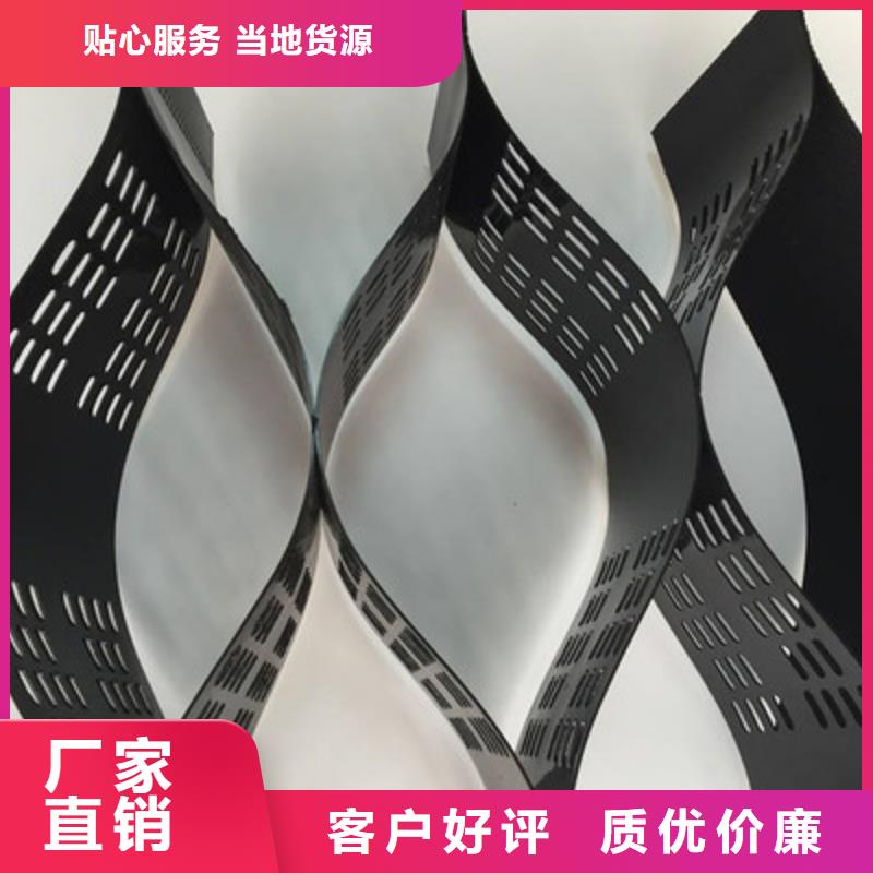 蜂窝土工格室hdpe土工格室厂家同城制造商