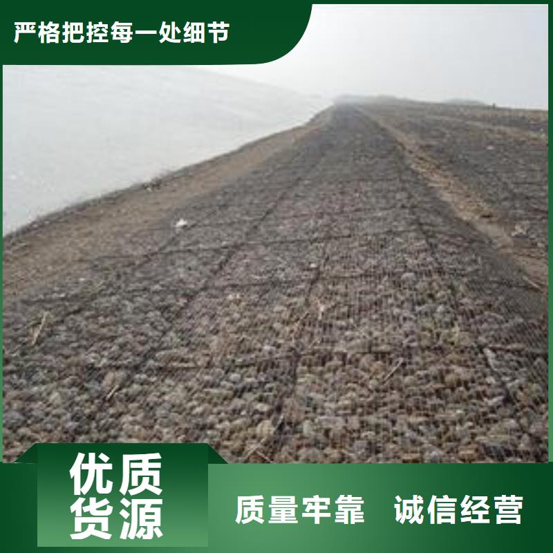 雙向鋼塑土工格柵促銷價(jià)格鋼塑土工格柵（主要作用）鋼塑土工格柵規(guī)格-按需定制鋼塑土工格柵價(jià)格源頭廠家-0利潤_價(jià)格低貨源報(bào)價(jià)