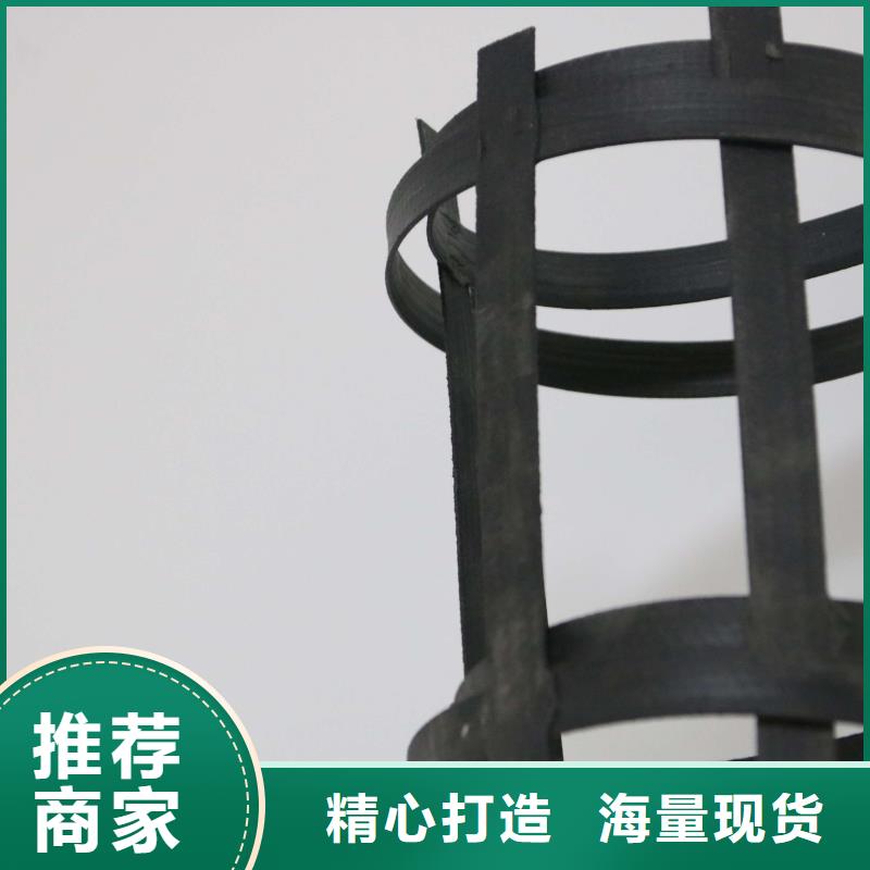 鋼塑土工格柵雙向塑料土工格柵專注細(xì)節(jié)專注品質(zhì)實(shí)地大廠