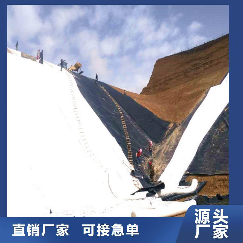 【土工布】膨潤(rùn)土防水毯專業(yè)的生產(chǎn)廠家工藝成熟