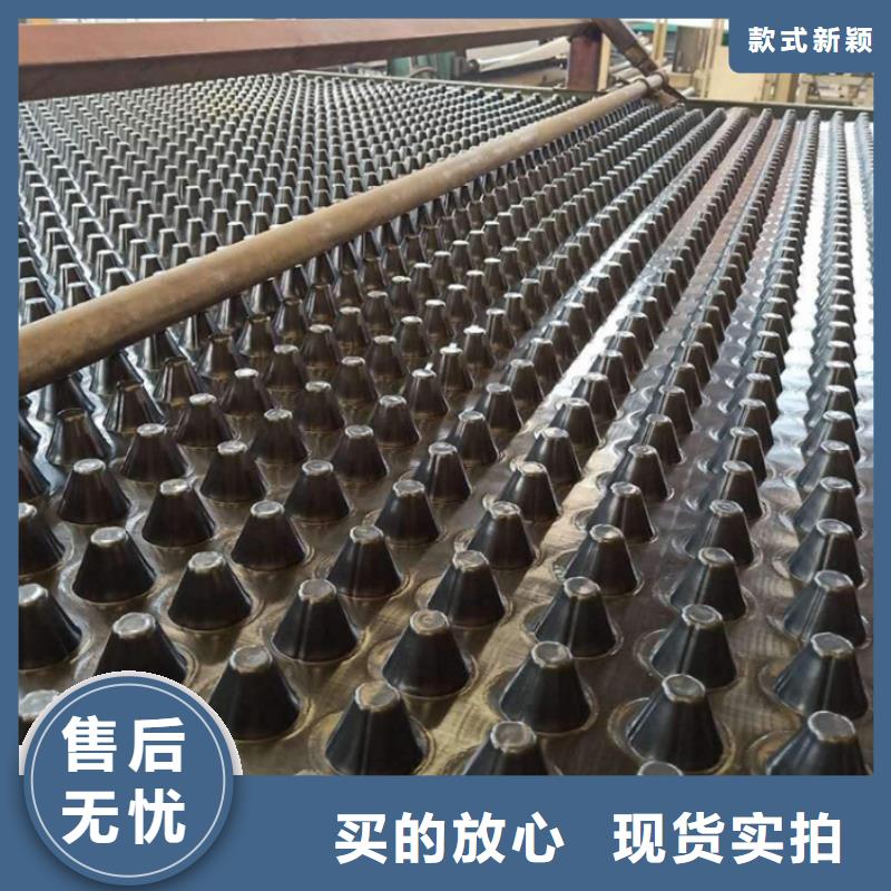 塑料排水板,【護(hù)坡土工網(wǎng)】一站式廠家本地貨源