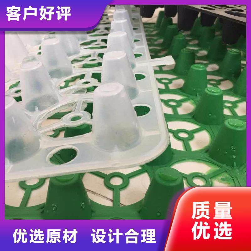 塑料排水板玻纤土工格栅拥有多家成功案例优质货源