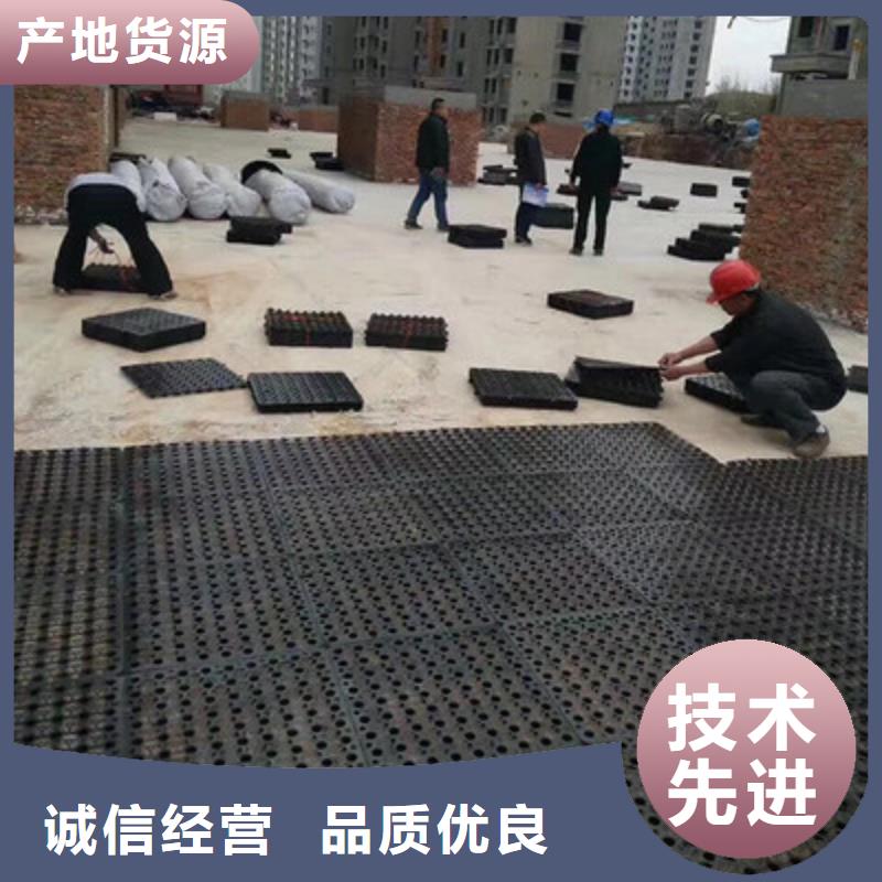 塑料排水板_滌綸土工格柵源頭廠商廠家售后完善