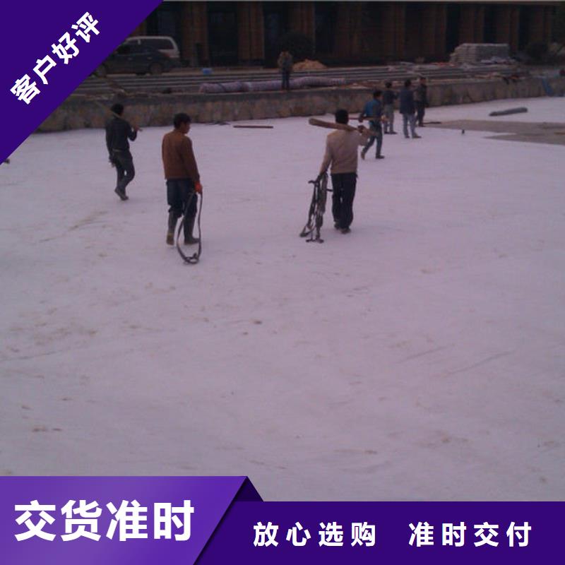 防水毯土工席墊歡迎來電咨詢實(shí)拍展現(xiàn)