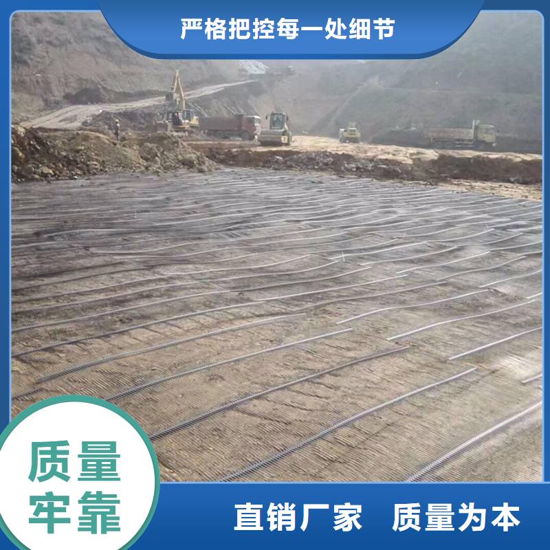土工格柵三維土工網(wǎng)墊多年廠家可靠源頭實(shí)體廠商