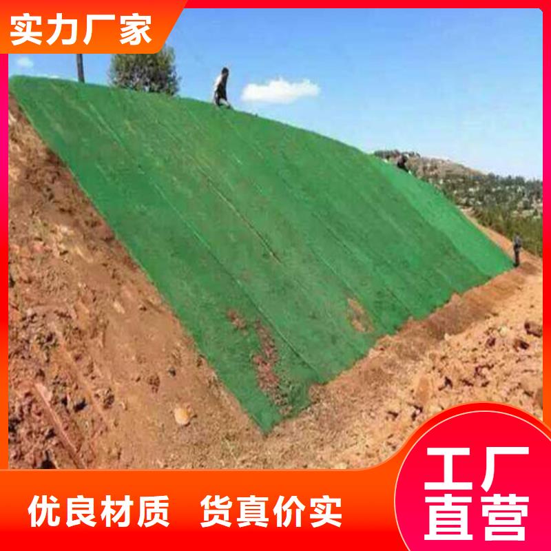 新型三維土工網(wǎng)墊規(guī)格性能參數(shù)性能穩(wěn)定