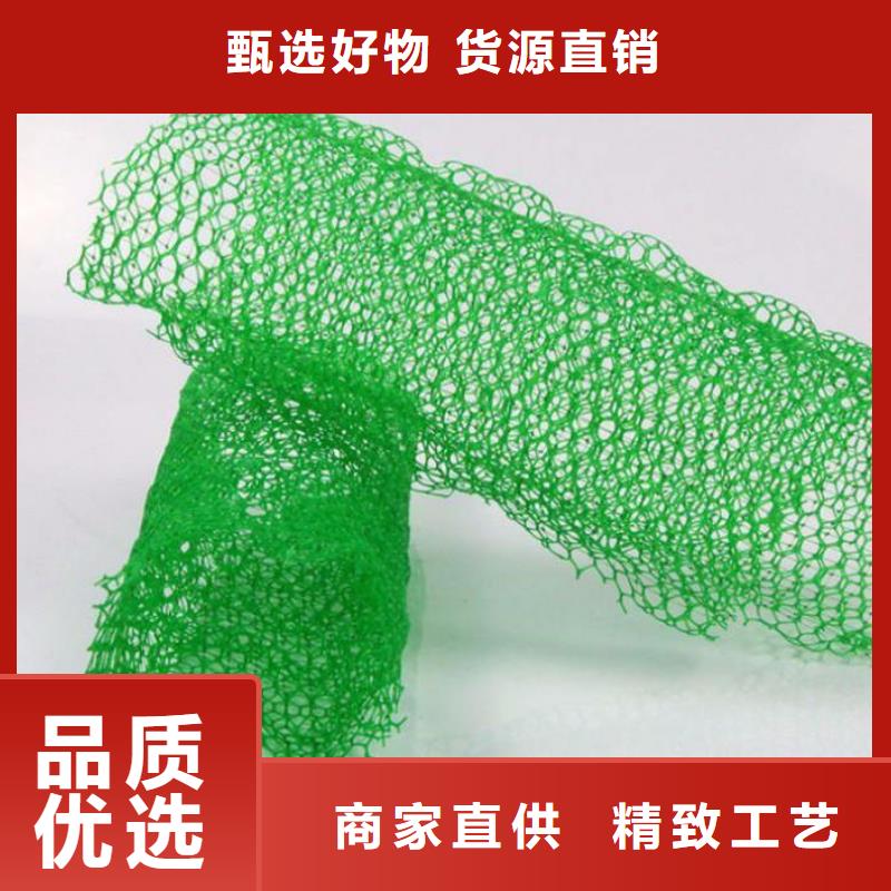 三維植被網(wǎng)復(fù)合土工膜行業(yè)優(yōu)選同城服務(wù)商