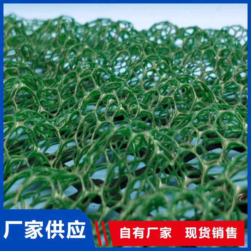 三維植被網(wǎng),護(hù)坡土工網(wǎng)細(xì)節(jié)之處更加用心現(xiàn)貨直供