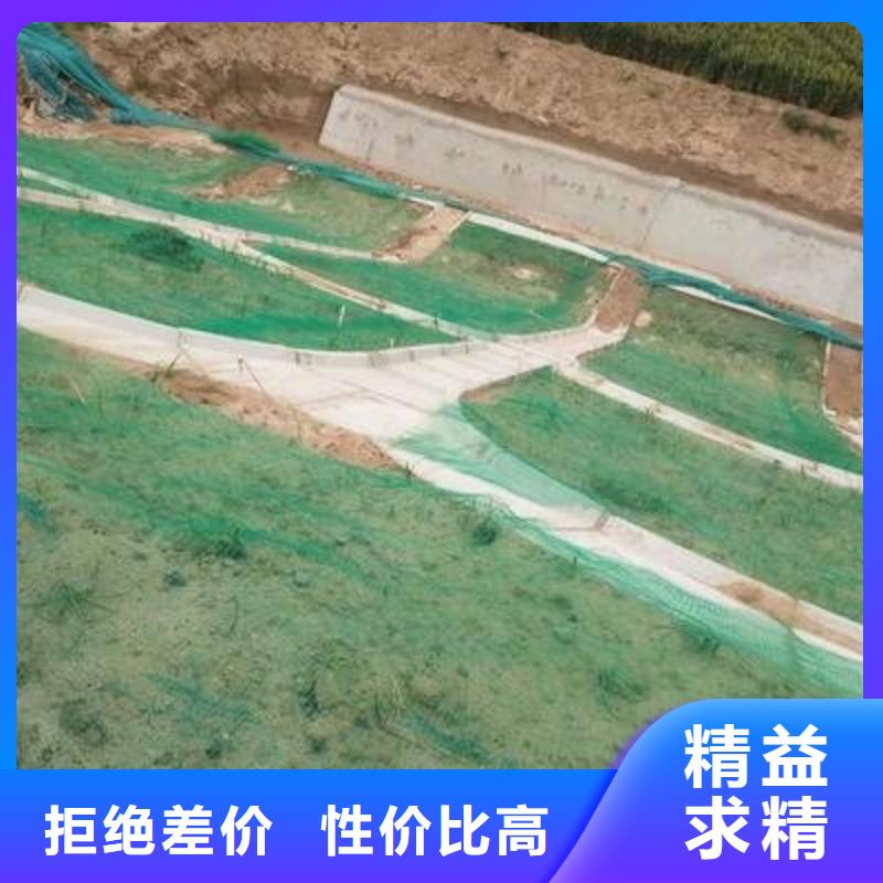 边坡防护三维植被网——集团公司-2025新行情敢与同行比质量