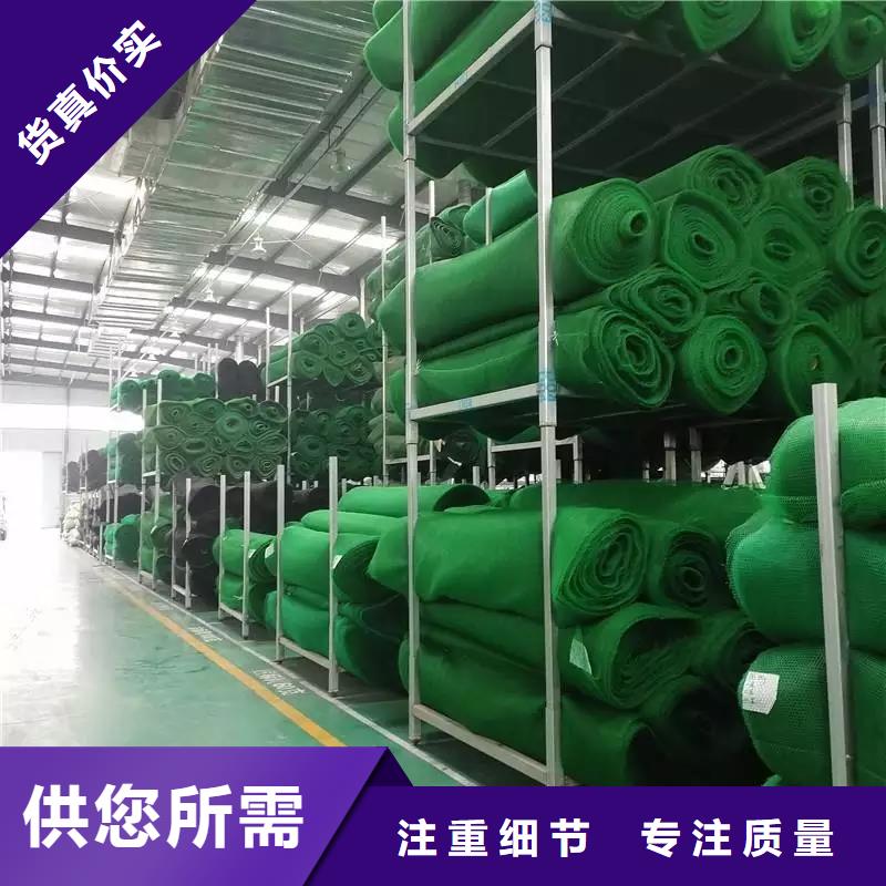 新型三维土工网垫规格性能参数本地服务商