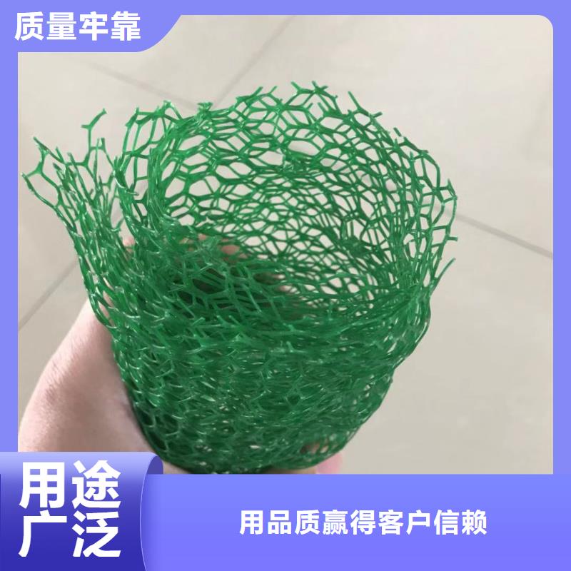 【三维植被网钢塑土工格栅厂家质量为本】本地公司