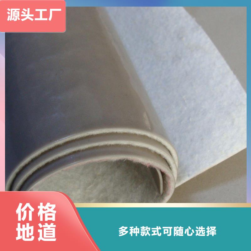 EVA防水板鋼塑土工格柵廠家現(xiàn)貨供應(yīng)技術(shù)先進(jìn)