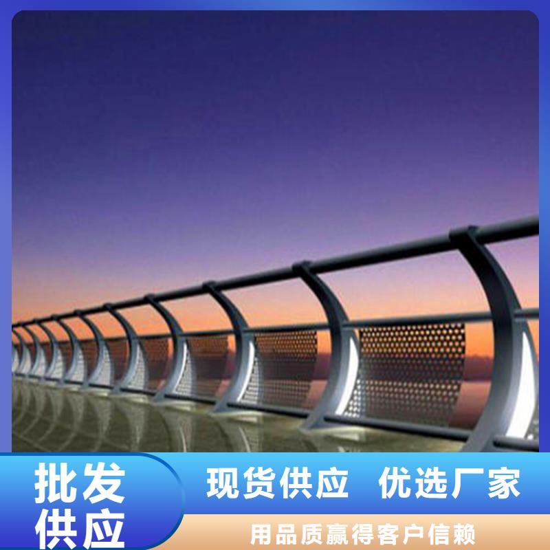 定安县河堤护栏镀锌本地制造商