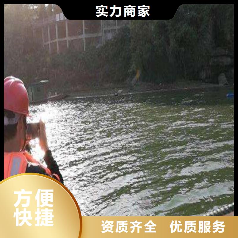 蛙人服务公司免费咨询2025已更新专业品质